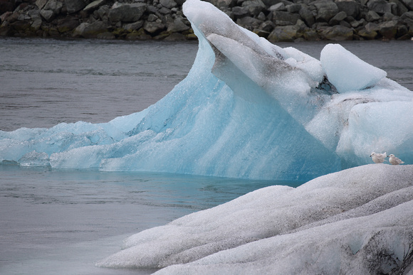 Icebergs in Jokulsarlon, S. Iceland