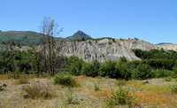 Mt. St. Helens Hummocks (ash and pulverized rock piles)