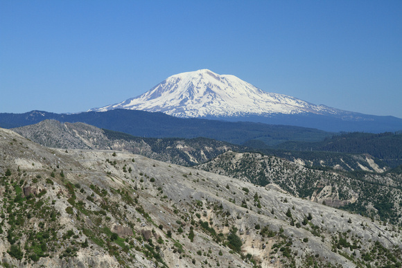 Mt. Adams from Mt. St. Helens