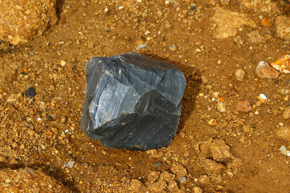 Chunk of obsidian on trail