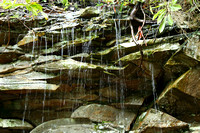 Water cascade, Swallow Falls SP