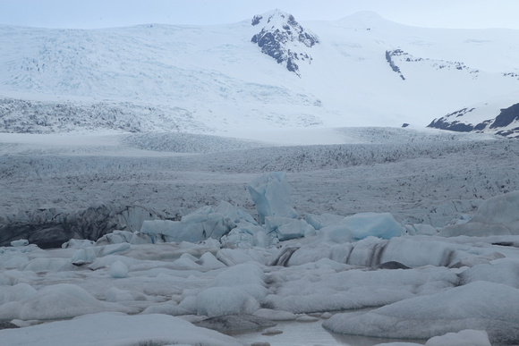 Icebergs in front of Fjallsarlon
