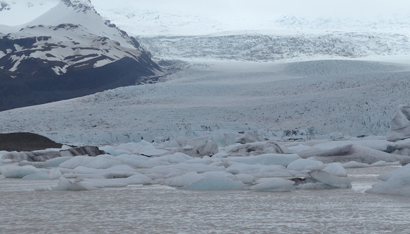 Icebergs and Fjalljokull glacier
