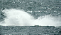 Breaching Humpback Whale #4, off Blanc Sablon, Quebec