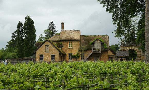 Across vineyard, Hameau de la Reine