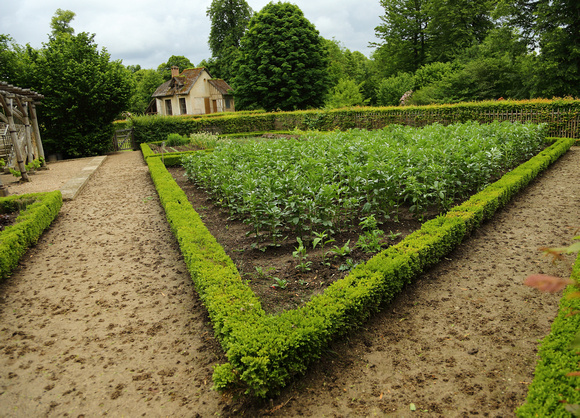 Potato garden, Hameau de la Reine